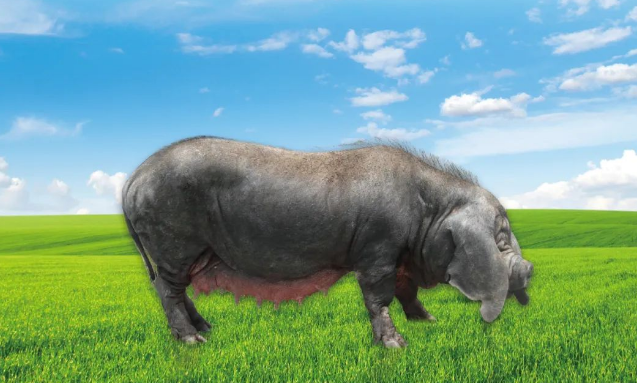 1661762456783400.png image.png